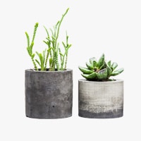 retail category 4 1 Nuuhazon